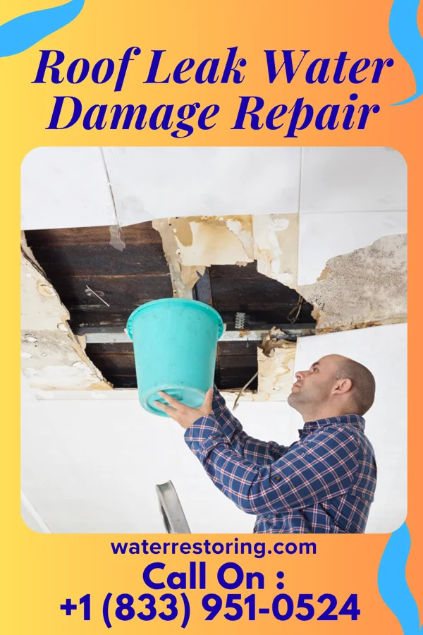 Roof Leak Water Damage Repair in Silver Hill, MD