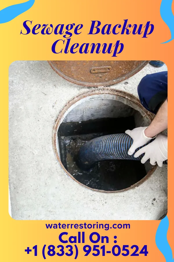 Sewage Backup Cleanup in Silver Hill, MD
